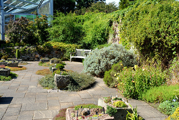 DSC_0821.JPG