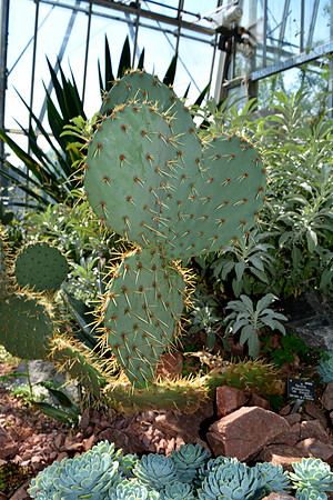 DSC_0742.JPG