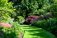 DSC_0524.JPG