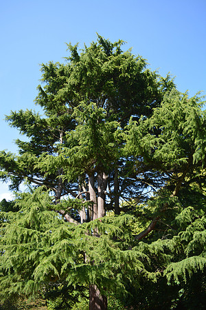 DSC_0964.JPG