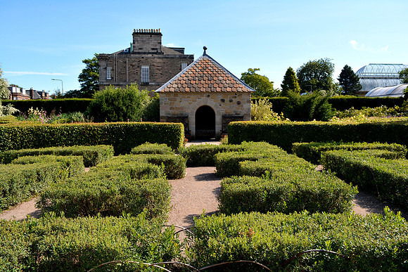 DSC_0626.JPG