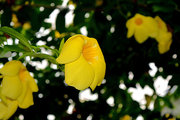 DSC_0789.JPG