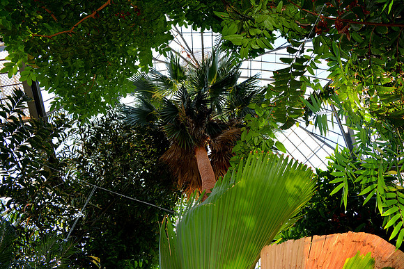 DSC_0689.JPG