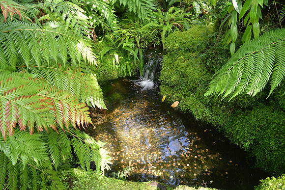 DSC_0722.JPG