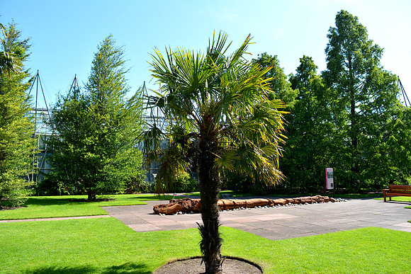 DSC_0823.JPG