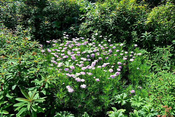 DSC_0660.JPG