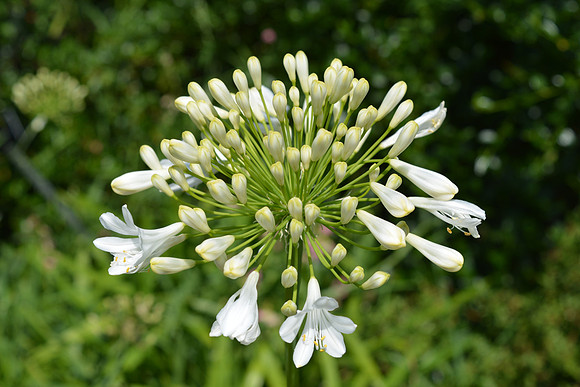 DSC_0657.JPG