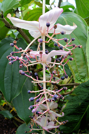 DSC_0797.JPG