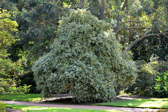 DSC_0576.JPG
