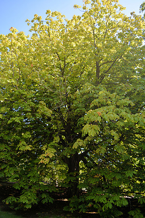 DSC_0969.JPG