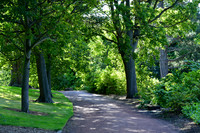 DSC_0509.JPG