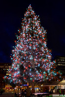 DSC_3388.JPG