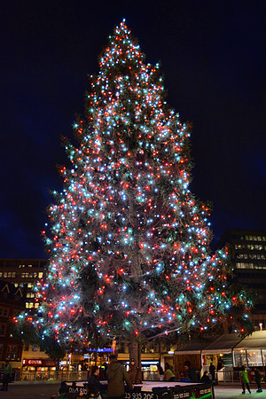 DSC_3388.JPG