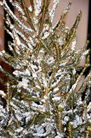Christmas112