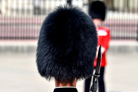 Trooping the Colour - 003
