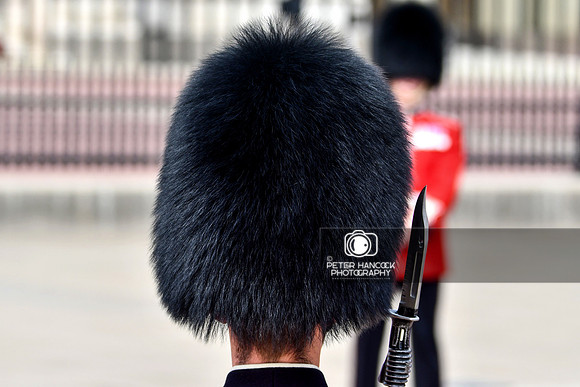 Trooping the Colour - 003
