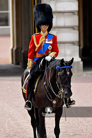 Trooping the Colour - 033