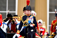 Trooping the Colour - 048
