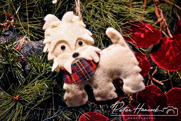 Christmas Nights in Edinburgh 0096