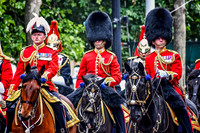 Platinum Jubilee Pageant - The Military - 004