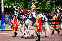 Platinum Jubilee Pageant - The Military - 016