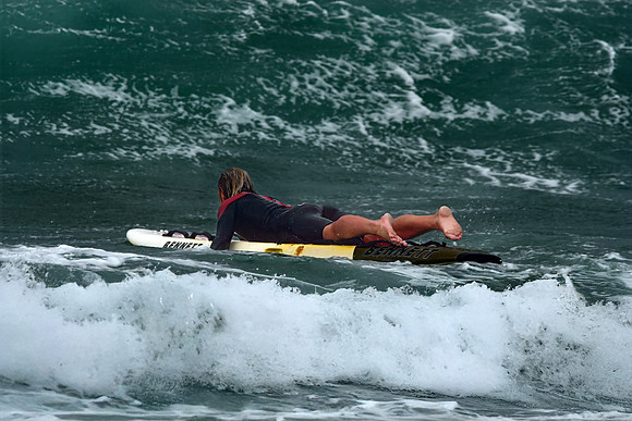 Cornwall Zoom - Summer 24 - 2085-