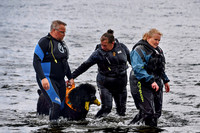 RNLI Kinghorn Open Day 0020