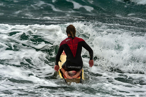 Cornwall Zoom - Summer 24 - 2079