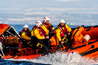 Scotland Zoom - Summer 24 - 2441