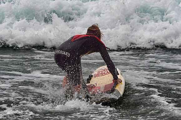 Cornwall Zoom - Summer 24 - 2068