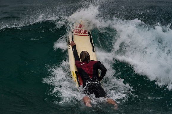 Cornwall Zoom - Summer 24 - 2098