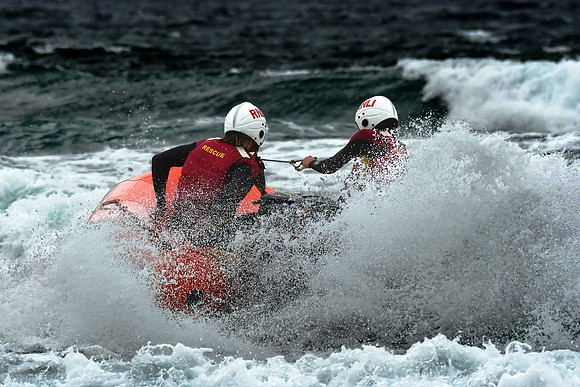 Cornwall Zoom - Summer 24 - 1575
