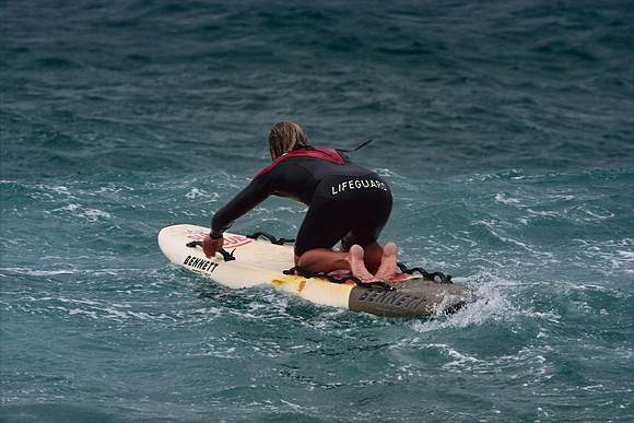 Cornwall Zoom - Summer 24 - 2092