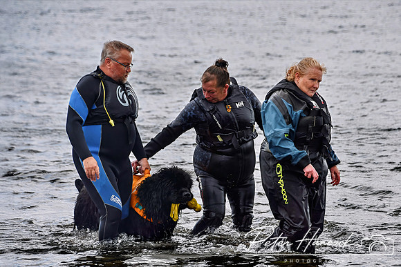 RNLI Kinghorn Open Day 0020
